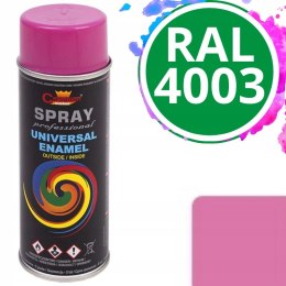 Farba uniwersalna Spray 0.4L Champion RAL 4003