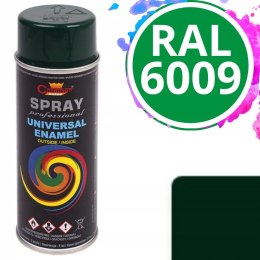 Farba uniwersalna Spray 0.4L Champion RAL 6009