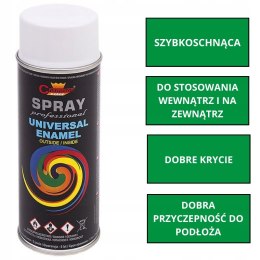 Farba uniwersalna Spray 0.4L Champion RAL 9003 Połysk