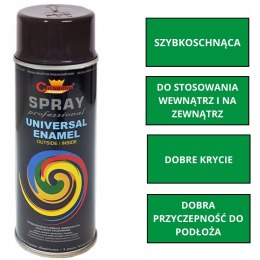 Farba uniwersalna Spray 0.4L Champion RAL 9005 Połysk